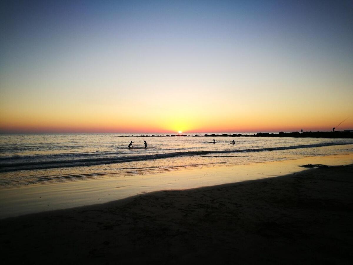 Sopranis Del Mar Apartamento Centro Cadiz, Junto Playa Y Estacion Daire Dış mekan fotoğraf